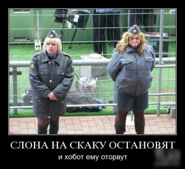 УНП ідА СЛОНА НА СКАКУ ОСТАНОВЯТ и хобот ему оторвут