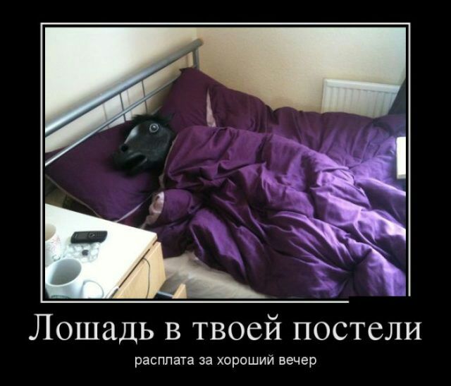 Лошадь в твоей постели расплата за хороший вечер