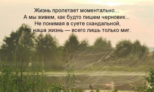 Жизнь пролетает моментально А мы живем как будто пишем черновик Не понимая в суете скандальной аша жизнь всего лишь только миг