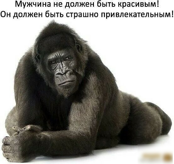 мужчина не должен ЫТЬ красивым ОН должен бЫТЬ СТРЭШНО ПРИВЛ ТЕЛЬНЫМ
