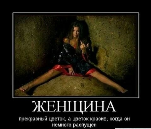 прекрасный цветик циник красив кок дя он немного распущен