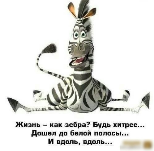 Жизнь как зебра Будь хитрее дошел до Белой полосы И вдоль вдоль