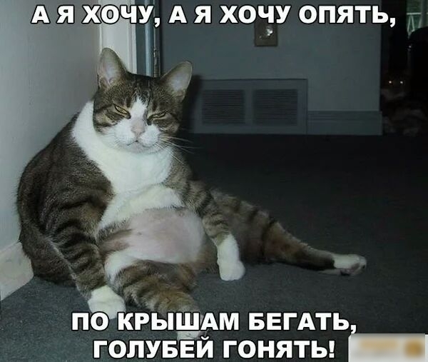 Ш ЯКЖФЧУ А Я ХОЧУ ОПЯТЬ и пЁтышАм БЕГАТЬ голуввй гоняты _