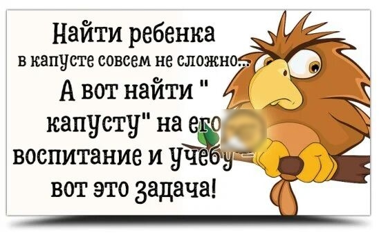 Найти ребенка В капусте совсем не сложно А вот найти капусту на воспитание и ГЪ 15 вот это задача