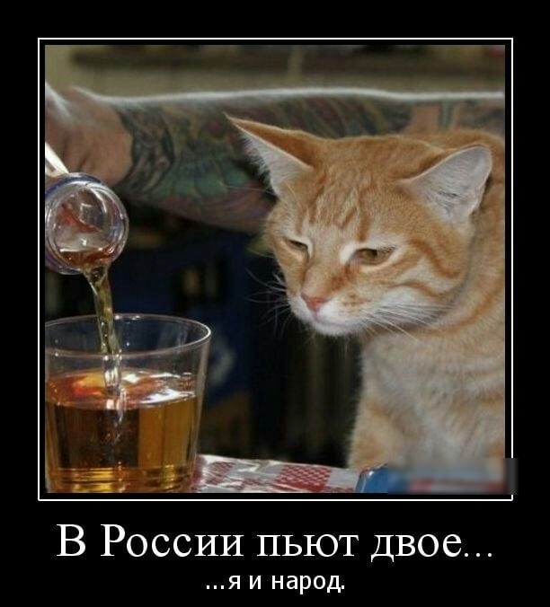 В России пьют Двое Я И народ