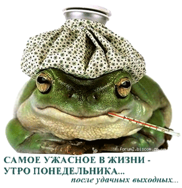 САМОЕ УСЖАНОЕ В ЖИЗНИ УТРО ПОНЕДЕЛЬНИКА поаш удачных выходных и гсм е Я сказала что куплю себе хайлайтер консилер пауэрбэнк для айфона и новый свитшот Она перекрестилась и забрала деньги