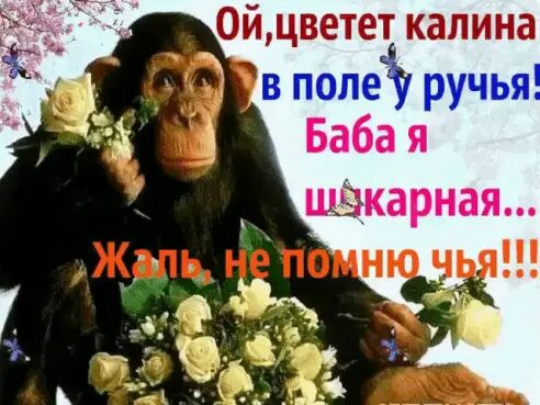 Баба Щёкарнай