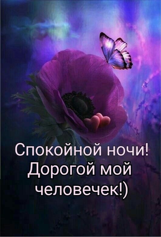 Спокойной ночи Дорогой мой человечекО
