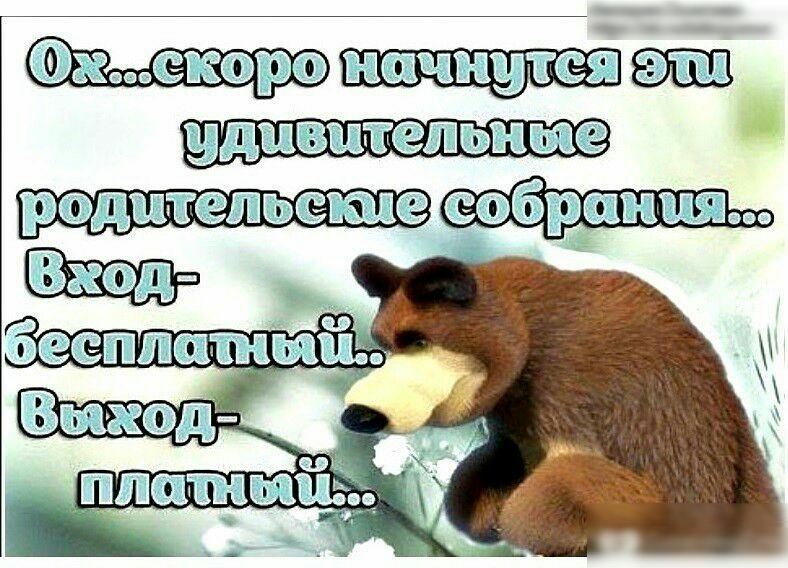 Каждый день с работы меня встречает мой радостный кот