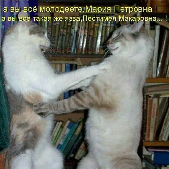 моподеете Мария Петровна естимёя Магадана