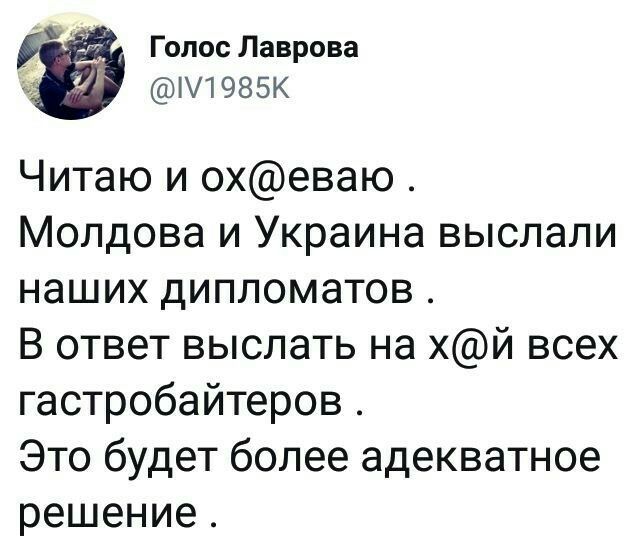 Голос Лаврова 1985К Читаю и охеваю Молдова и Украина выслали наших дипломатов В ответ выслать на хй всех гастробайтеров Это будет более адекватное решение