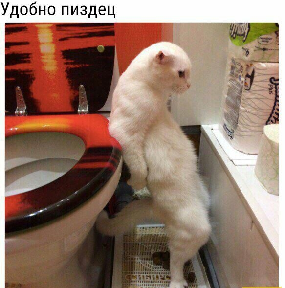Удобно пиздец