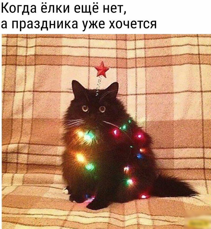 Когда ёлки ещё нет а праздника уже хочется ___ __ __ _ ___ _ __ _ _ д _ ь