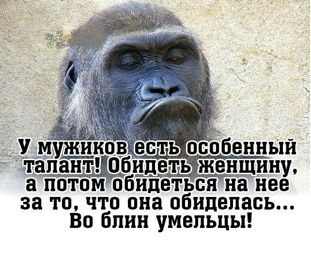 жииов особнныи апант обидеть женщину а потомобидетъсн на нее за то что она обиделась Во блин умельцы