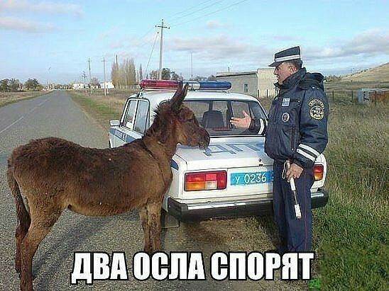 ддвдіоспд спорит
