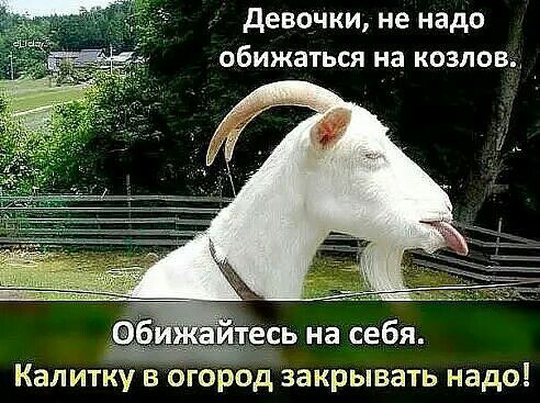 девочки не надо обижаться на козлов Калитку в огород закрывать надо