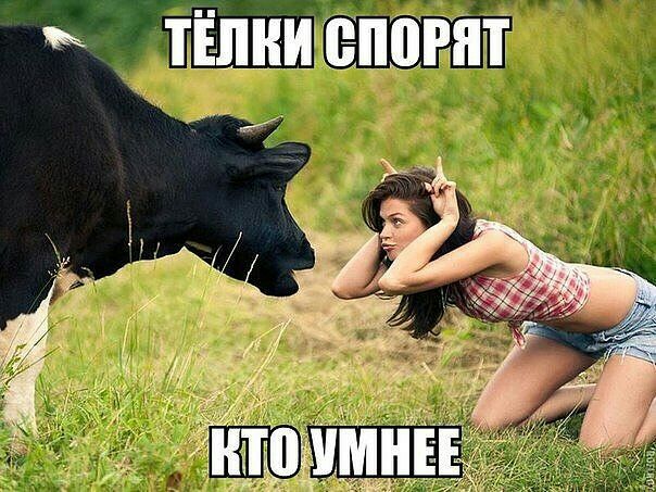 ЁДШЁЁЁПНТЁ