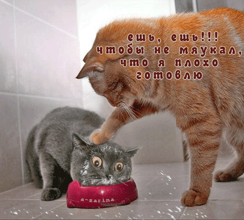 99 зпщэ шщюбсш ше хшщщащ 81130 9539 зепзсэыью