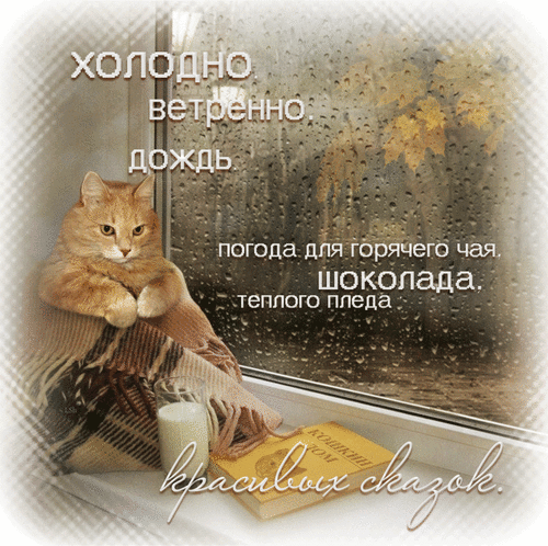 погода 11715 гор эго Шоколада ТЕППОГО ппеда