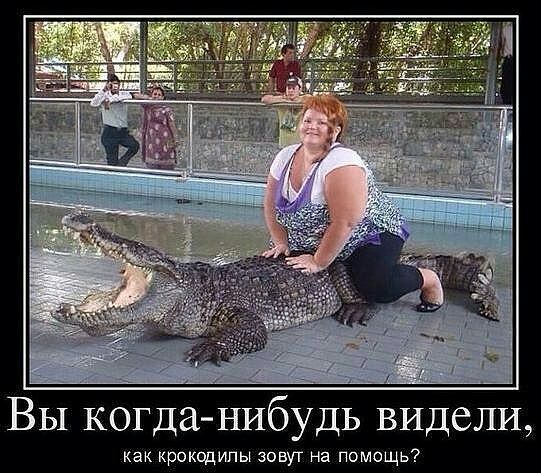 Вы когда нибудь видели как крокодилы зовут на помощь
