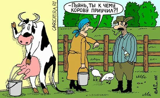 КОРОВН ПРИН к Ь н ы Гц