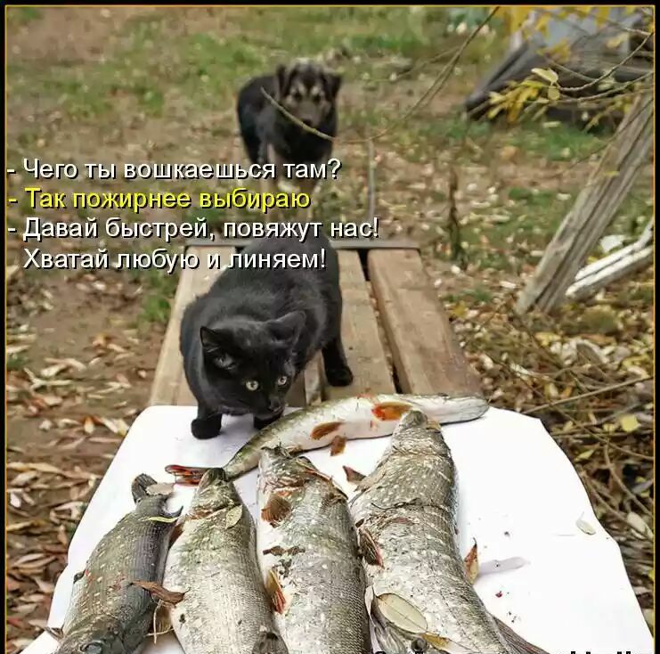 Чеготывощлаешдся там 1141г м 1 _ Давай_быстре п9вяжут Нас Хватайлюбу иняем _