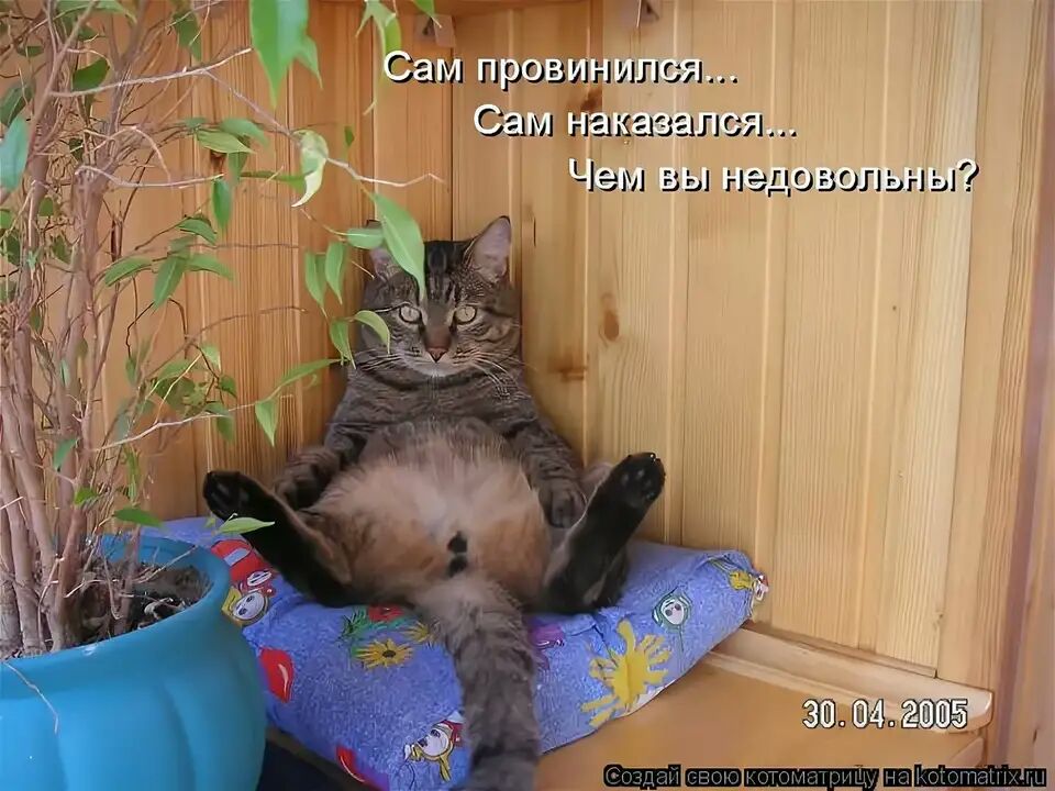 ттт _ Сам Медиа 32111071 Чем аь недовольны