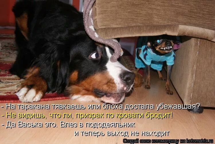 мщшш Да Вы ка эт гршк гп о Блез Ь подо И теперь
