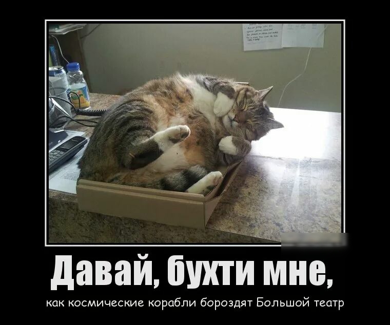 давай бшпи мне как космические корабли бороздят Большой театр