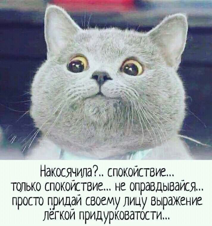 Накосячила спокойствие только спокоиствие не оправдываИся просто придви своему лицу выражение легкои придурковатости