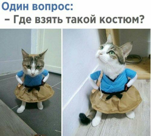 _д Где взять такой костюм