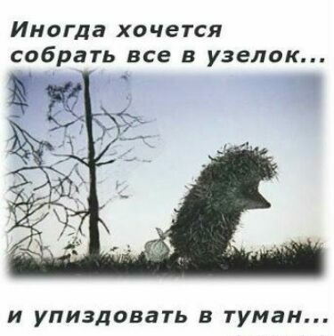 Иногда хочется собрать все в узелок И УПИЗДОВВТЬ В туман