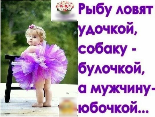 Рыба ювт двчкеэй собаку будтиюй іі _ мухщину юбсъчмай