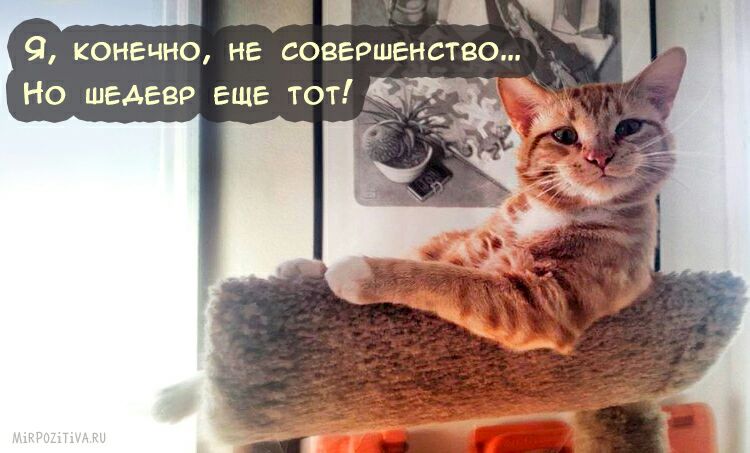 _ Л 1 9 конечно не совершенство