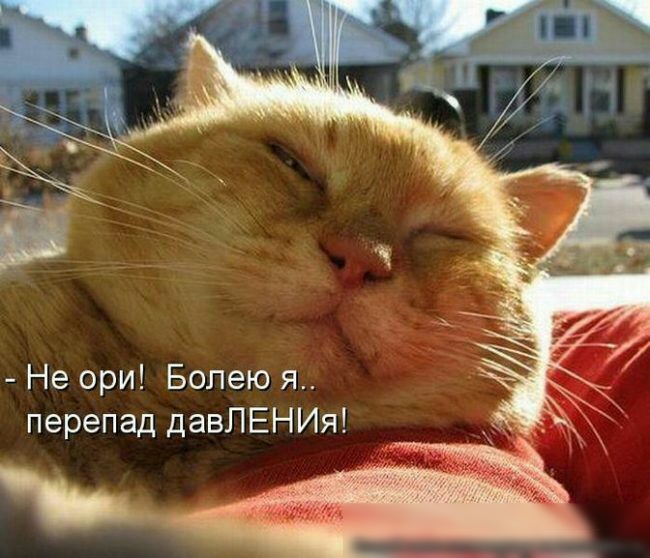 Ё _ Не ори Болею я перепад давПЕНИя