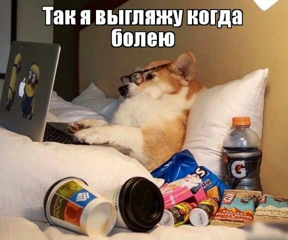Тан Я ВЫШЯЖУ когда