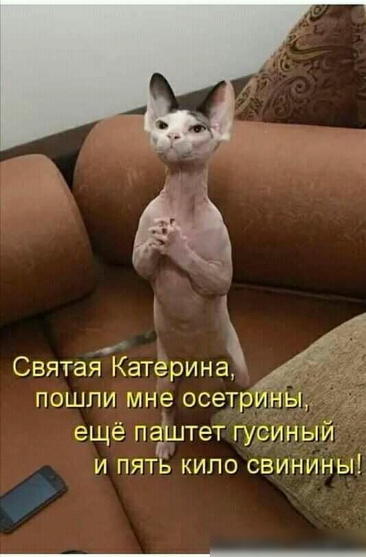 Святаёз Катерина пошли мне осетри ы ещё паштет гусиный и пять кило свинины