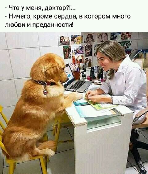 Что у меня доктор Ничего кроме сердца в котором много любви и преданности