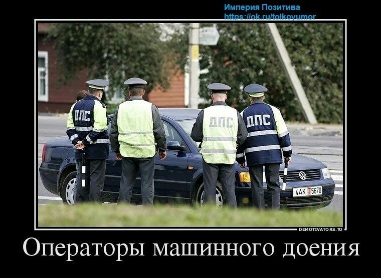 Операторы машинного доения