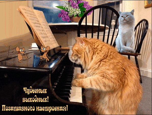 Чадевиш вшэдньш Позитивнат тщетравндя