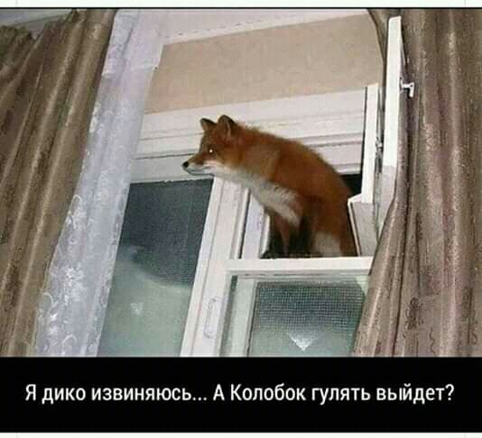 Я дико извиняюсь А Колобок гулять выйдет