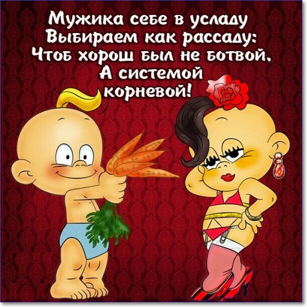 Мужика севе в усладу Вывираем как рассаду Чтоб хорош выл не вотвой А системой корневой