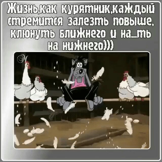 кчтятнпкмтіщый влезть повыше Бишкнего и нать нПЖнегот