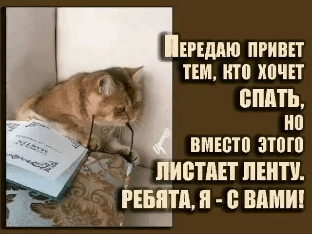 шддю привет тш ито хочит БПАТЬ но вмюто этого ВТПЕТ ПЕНТУ РЕБЯТА н ВАМИ