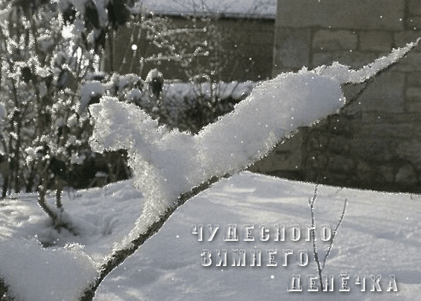 _ _ Н ц ЭЦЩЮЁ н