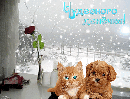 дееного дгыёчаа