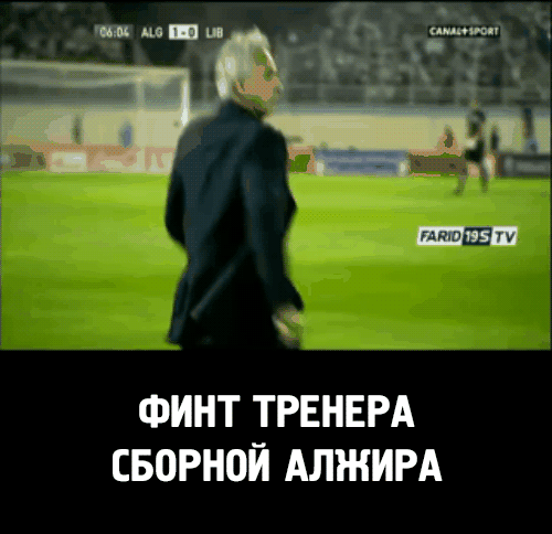 ФИНТ ТРЕНЕРА СБОРНОЙ АЛЖИРА