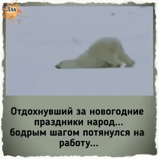 тдохнувший за новогодние праздники народ рым шагом потянулся н работу