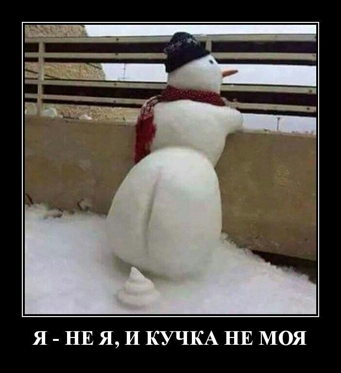 Я НЕ Я И КУЧКА НЕ МОЯ