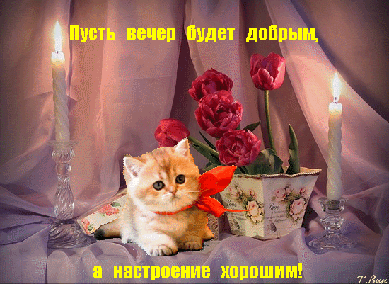 БЧБП ШШШ доби _